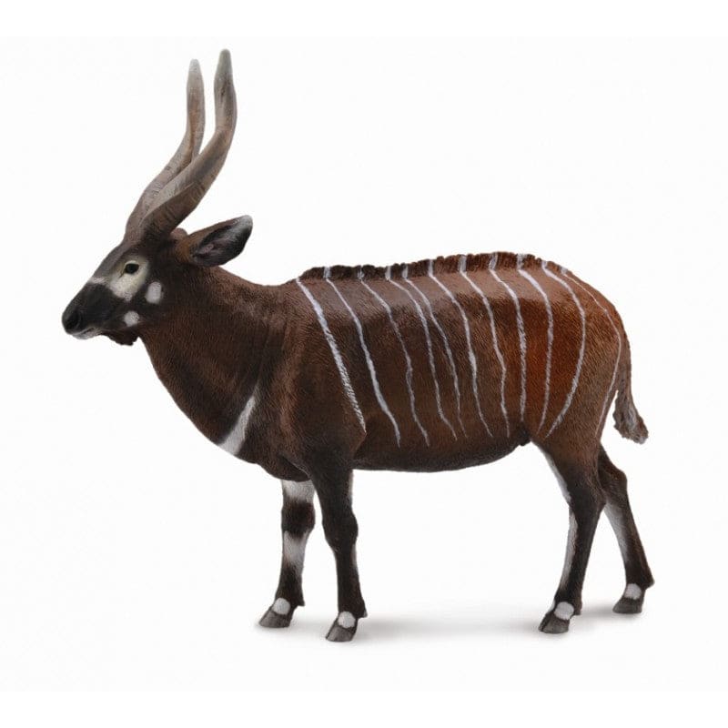 Antilopa Bongo XL - Animal figurina - Collecta - Materiale