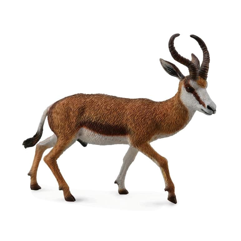 Antilopa Springbok L - Animal figurina - Collecta -